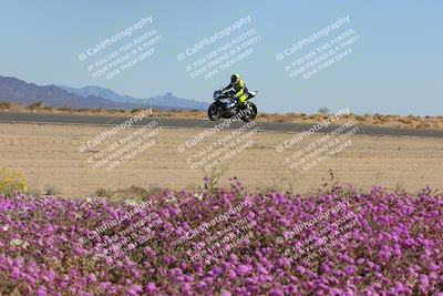media/Feb-10-2023-2WTD (Fri) [[a356e03532]]/B Group/Session 5 (Turn 15 Blooming)/